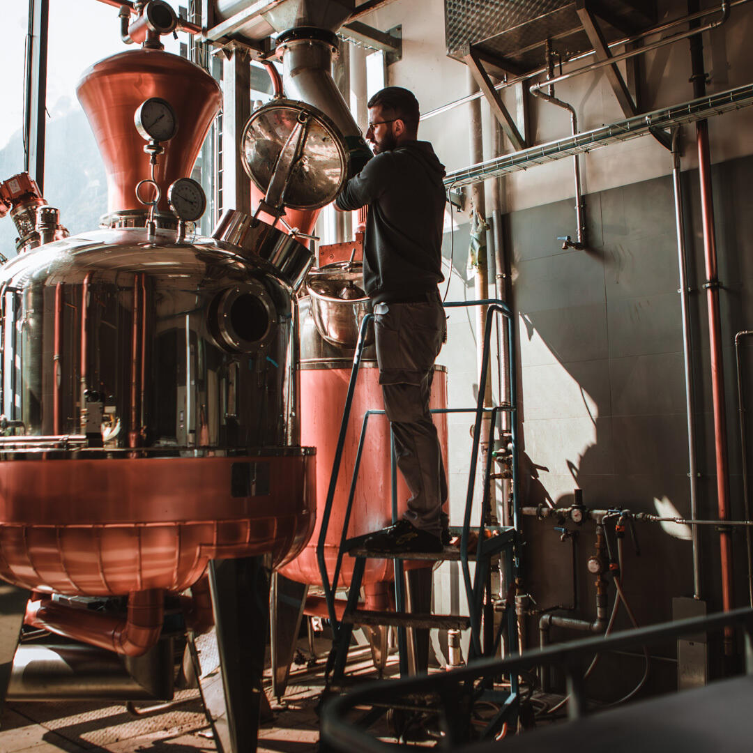 Distillerie St-Roch - Italie